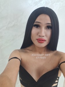 Транс Шымкента Транс№477955 Сиви дуэт с девушкой Фотография №3701170