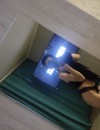 Фотография №3807977